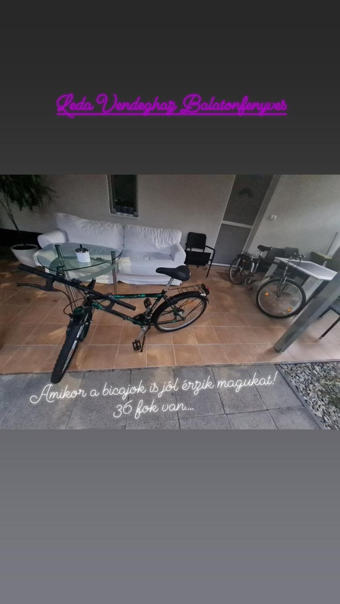 Apartman Leda Vendeghaz *